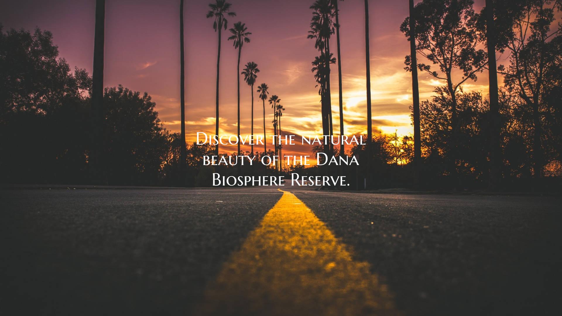 Discover the natural beauty of the Dana Biosphere ...