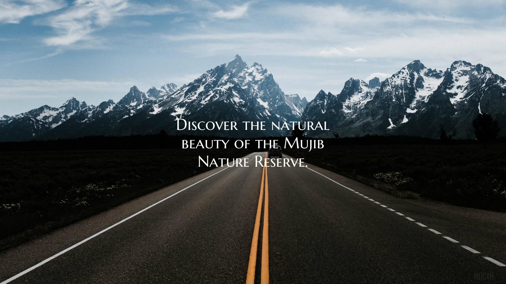 Discover the natural beauty of the Mujib Nature Re...