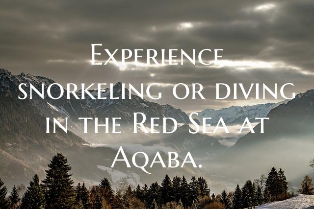 Experience snorkeling or diving in the Red Sea at ...