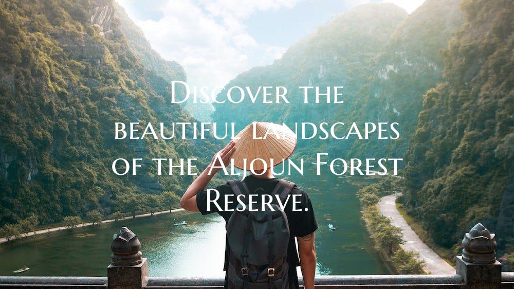 Discover the beautiful landscapes of the Aljoun Fo...